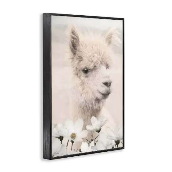 Stupell Industries Alpaca with White Blossoms Framed Giclee By Lori Deiter {3}