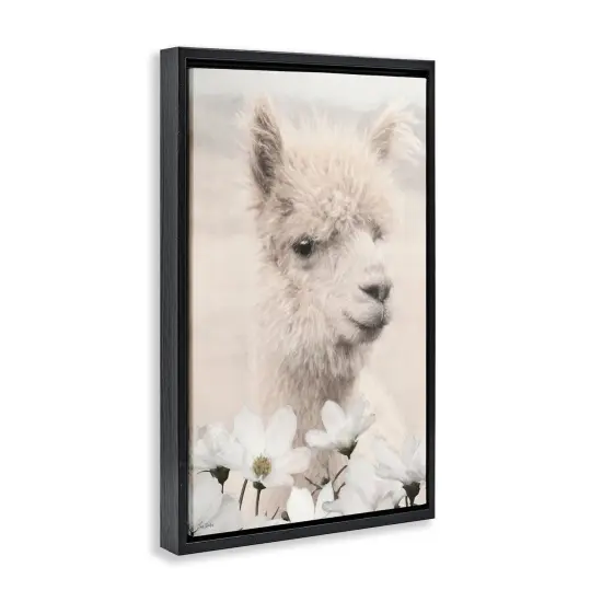 Stupell Industries Alpaca with White Blossoms Floating Frame By Lori Deiter {3}