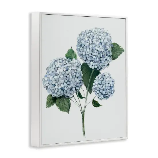 Stupell Industries Hydrangea Bulb Trio Framed Giclee By Hannah Dawson {3}