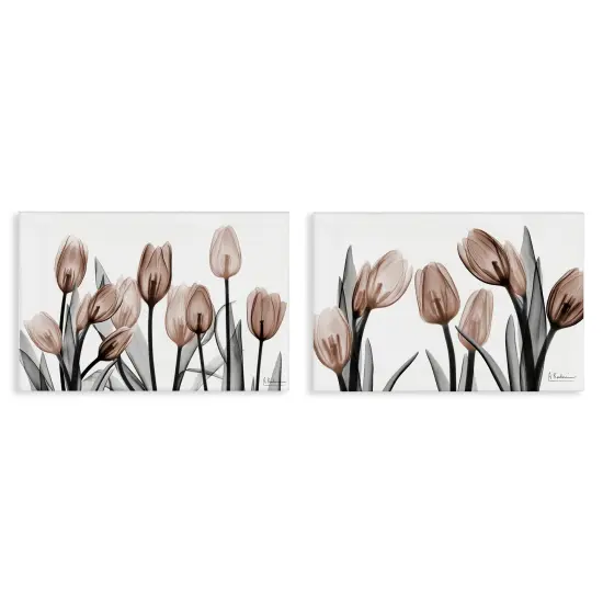 Stupell Industries Translucent Tulips in Mocha 2pc Canvas Set By Albert Koetsier {1}