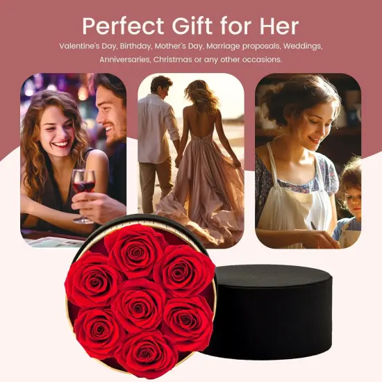 Long Lasting Preserved Roses in a Box {4}