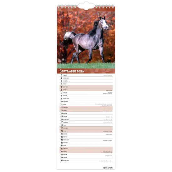 Horse Lovers | 20265.7 x 16.5 Inch (Hanging) Monthly Slimline Wall Calendar {4}