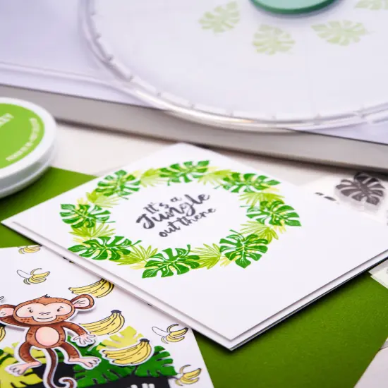 Sizzix Clear Stamps Set By Catherine Pooler 18/Pkg-Stay Wild {5}