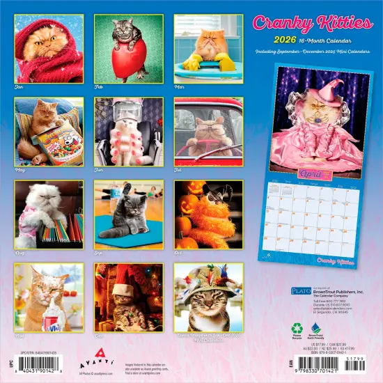 Avanti Cranky Kitties OFFICIAL | 2026 12 x 24 Inch (Hanging) Monthly Square Wall Calendar {2}
