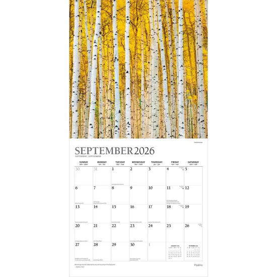 Psalms | 2026 12 x 24 Inch (Hanging) Monthly Square Wall Calendar | Foil Stamped Cover {4}