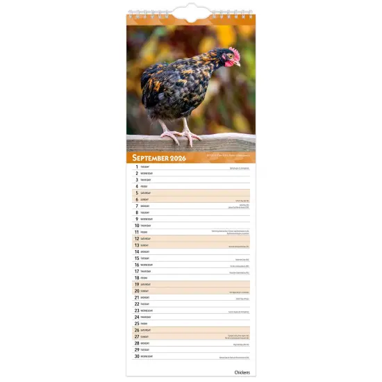 Chickens | 2026 5.7 x 16.5 Inch (Hanging) Monthly Slimline Wall Calendar {4}