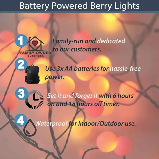 40 Berry Cluster Lights - Outdoor/Indoor Christmas Lights with Timer {2}