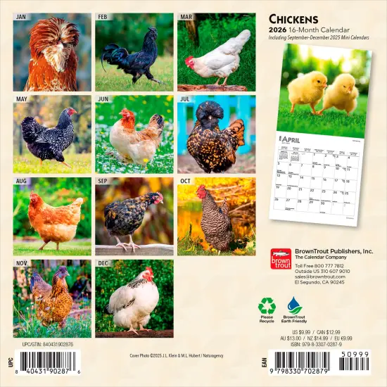 Chickens | 2026 7 x 14 Inch (Hanging) Monthly Mini Wall Calendar {2}