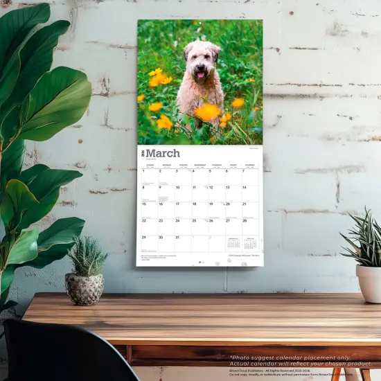 Soft Coated Wheaten Terriers | 2026 12 x 24 Inch (Hanging) Monthly Square Wall Calendar | Plastic-Free {5}
