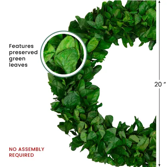Northlight Preserved Leaf Spring Garden Wreath - 20" - Unlit Green {7}