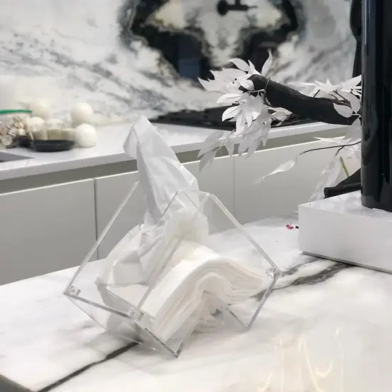 The Lucite Angled Tissue Box {2}