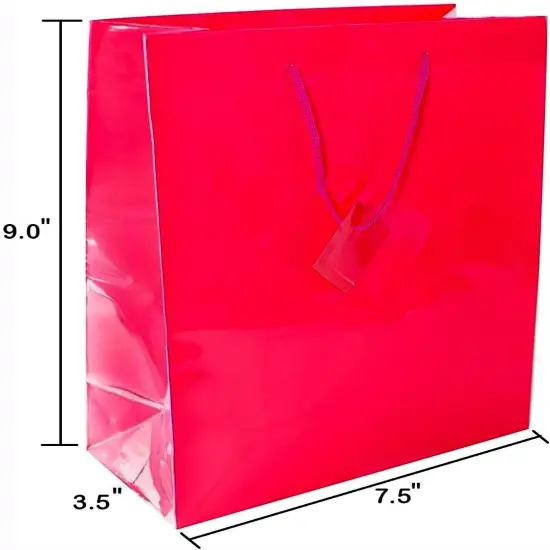 12 Assorted (9" H x 7.5" L x 3.5" W) + 24 Tissue (20" x 26") Bright Neon Colored {3}