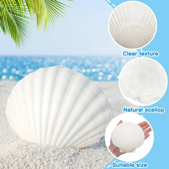 18PCS Large Natural Scallop Shells,4''-5'' White Seashells Bulk for Crafts DIY Painting Baking and Ocean Summer {2}