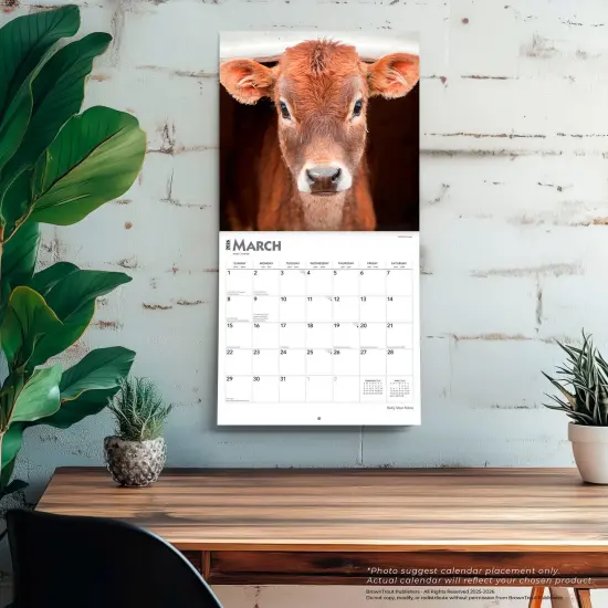 Baby Moo Moos | 2026 12 x 24 Inch (Hanging) Monthly Square Wall Calendar | Plastic-Free {5}