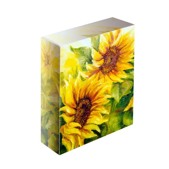 The Edge All Media Professional Triple-Primed Cotton Canvas 2.5" Deep, 6 Pack of Pre-Stretched Canvases for Painting with Paintable Edges {5}