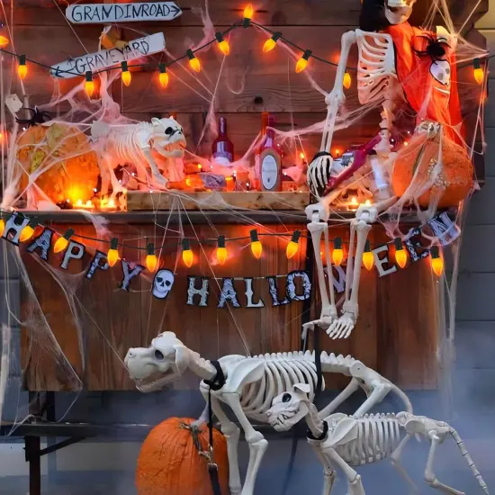 C9 Orange Halloween String Lights {5}