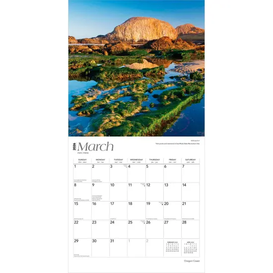Oregon Coast | 2026 12 x 24 Inch (Hanging) Monthly Square Wall Calendar | Plastic-Free {3}