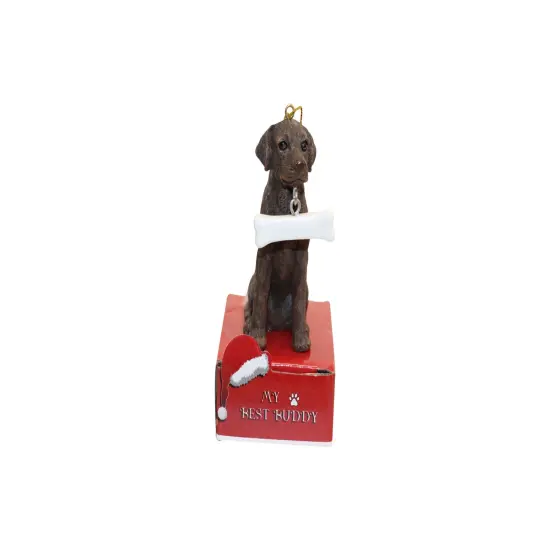 Chocolate Labrador with Bone Ornament {1}