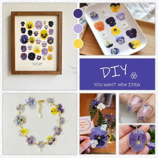 56 Pcs 8 Kinds Dried Pressed Pansies Flowers {2}