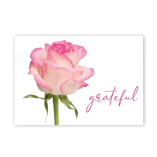 Great Papers! Grateful Pink Rose Thank You Note Card and White Envelope, 4.875" x 3.375", 24 count {1}
