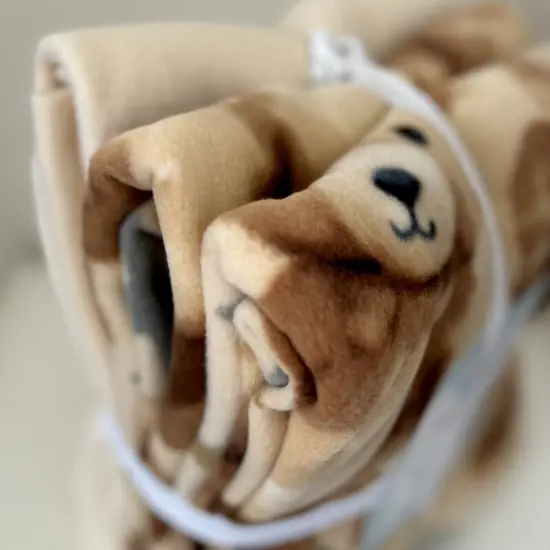 Teddy Bear Stars Anti-Pill Premium No-Sew Throw Fleece Fabric Kit (72x60) {2}