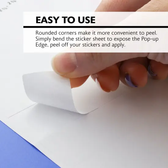 BAZIC White Address Labels 1" X 2 5/8" (300/Pack) {3}