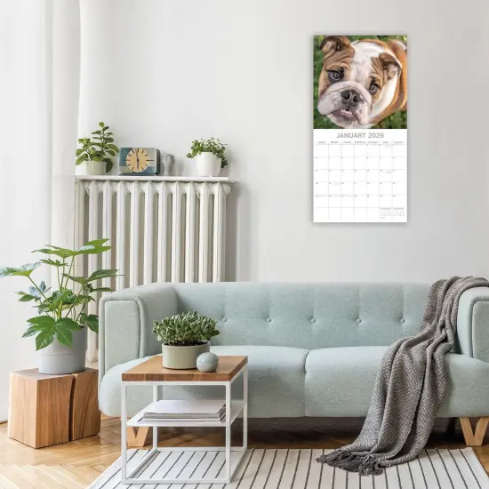 The Gifted Stationary 2026 Square Wall Calendar, Bulldogs, 16-Month Animals Theme Hanging Calendar with 180 Reminder Stickers, Month Planner for Home, or Creative Spaces, 12x12 In Multicolor {2}