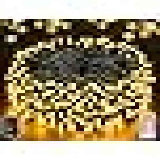 Fairy Lights for Holiday Decor {6}