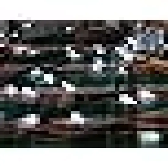 8 Modes Christmas Lights for Indoor Outdoor Home Garden Yard Xmas Tree Decoration {4}