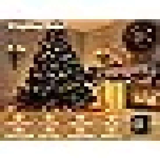 Christmas String Lights with 8 Modes, Timer, Waterproof Design for Indoor {4}