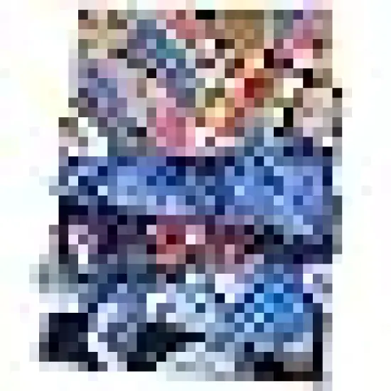 Japanese Style Cotton Wrapping Cloth Squares Quilting Fabric {6}