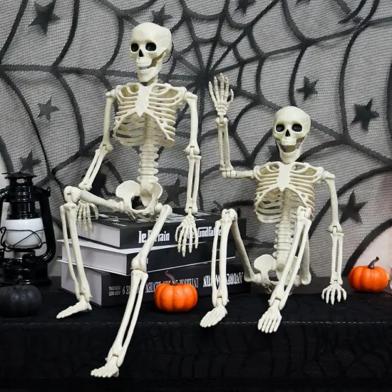 Full Body Skeleton with Movable Posable Joints, {6}