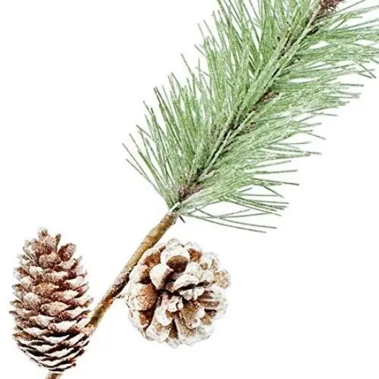 Frosted Pine Cone Picks 6ct Evergreen Christmas Floral Stems {2}