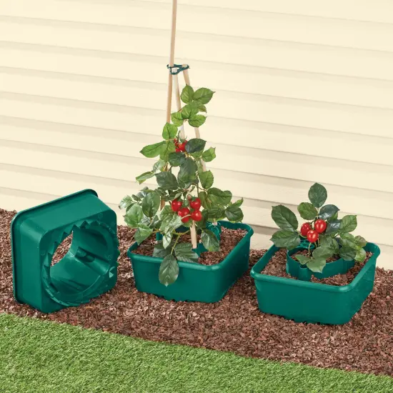 Collections Etc Plastic Starter Plant Boxes - Set of 3 {1}