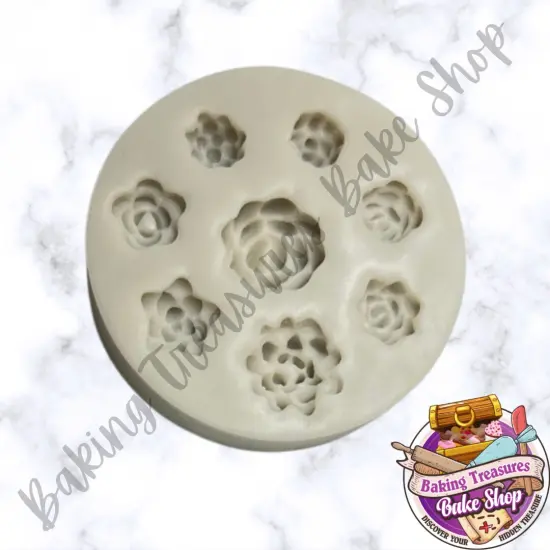 Succulent Variety flower {3}