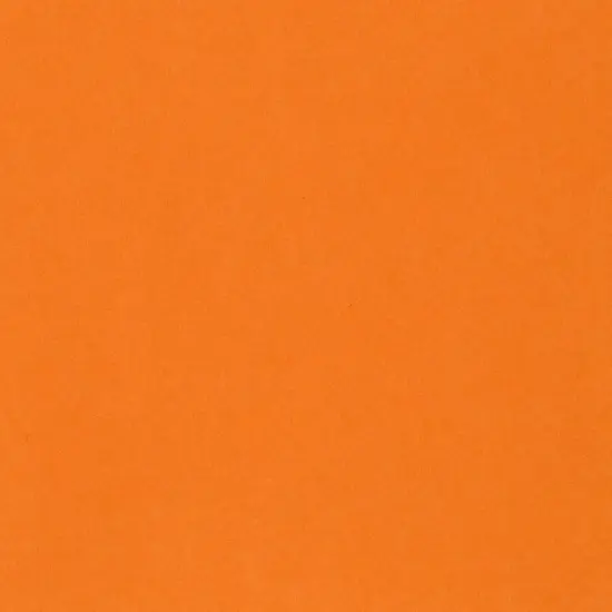 Bazzill Card Shoppe Heavyweight Cardstock 12"X12" {2}