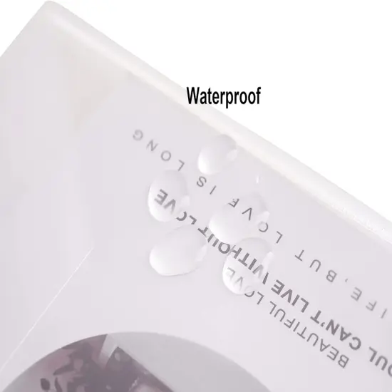 Clear Large Plastic Envelopes {2}