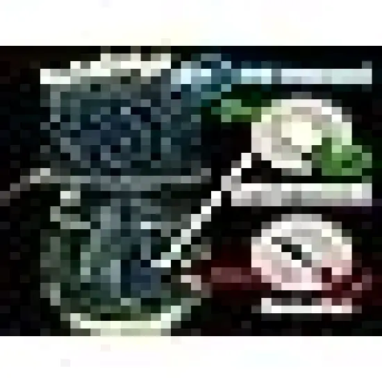 Commercial Grade Outdoor Waterproof {4}