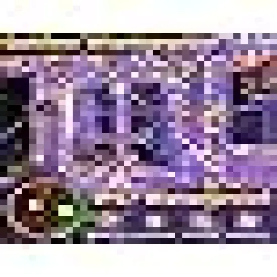 String Lights for House Yard Outside Indoor Xmas Decorations Multicolor {5}