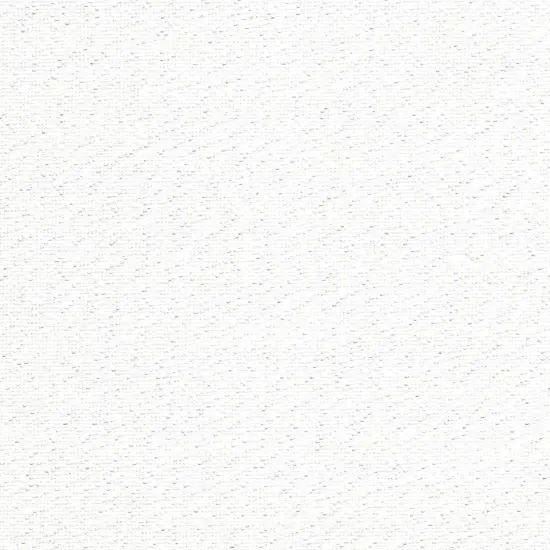 Precut Zweigart Murano 32 count Pearl Flecked White {3}