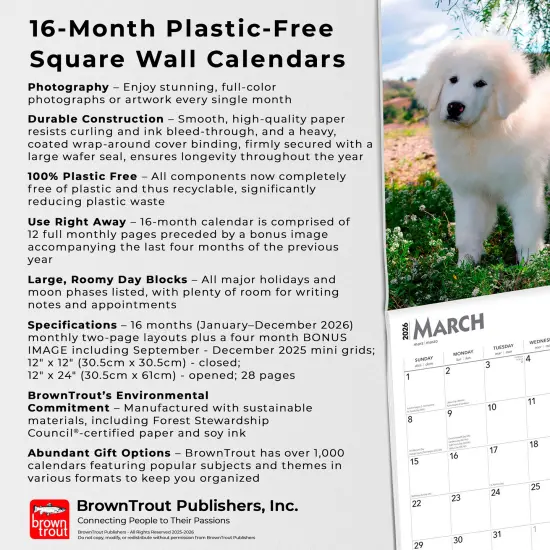 Great Pyrenees | 2026 12 x 24 Inch (Hanging) Monthly Square Wall Calendar | Plastic-Free {6}
