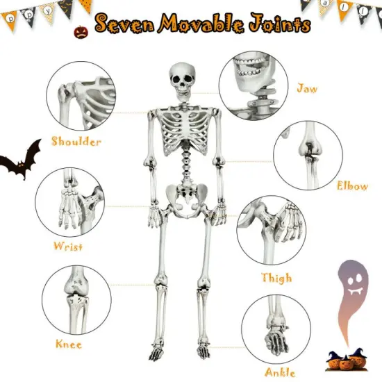 5.4 Feet Life-Size White Poseable Halloween Skeleton with Hanging Rope for Outdoor Decor {4}