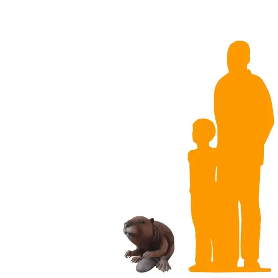 Beaver Life Size Statue {2}