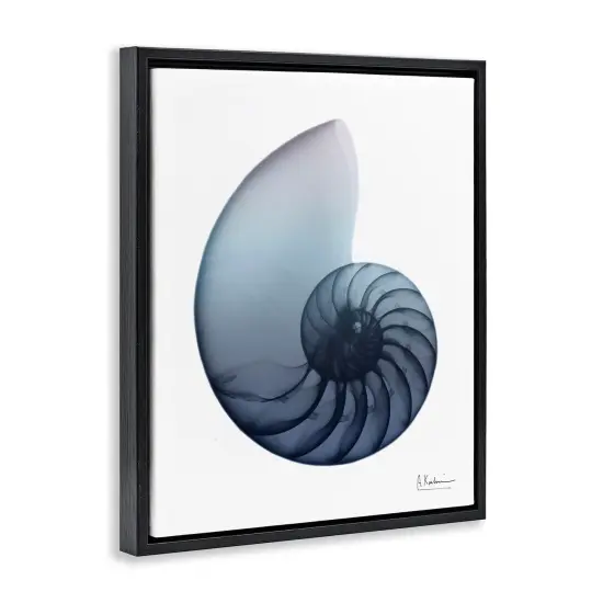 Stupell Industries Contemporary Nautilus Shell Framed Floater Canvas Wall Art Black Floater Frame {3}