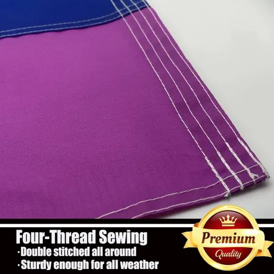 Progress Pride Rainbow Flag 3x5 Outdoor-210D Sewn Stripes LGBTQ Gay Lesbian Bisexual Transgender All Inlcusive Progressive Pride Rainbow Flag Vivid Color Polyester Flags with 2 Brass Grommets {5}