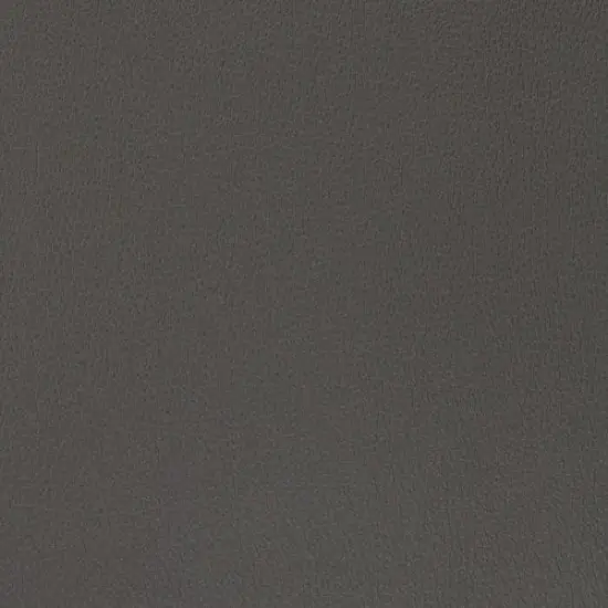 Richloom DANNON - Faux Leather Seal {3}