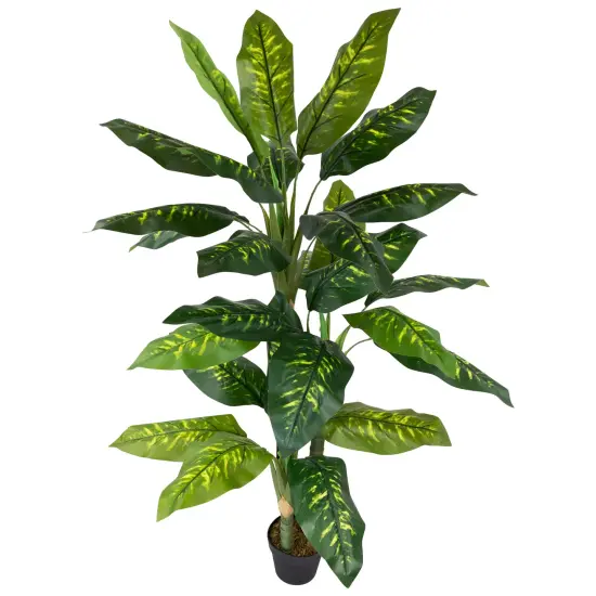 Northlight Wide Leaf Artificial Dieffenbachia Potted Plant - 59" Green {5}