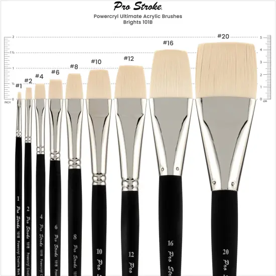 Creative Mark Pro-Stroke Powercryl Acrylic Paint Brushes - Brights Value Set of 5, Synthetic Paint Brushes for Artists, Seamless Nickel-Plated Ferrules, Matte Black Wooden Handle, Soft-Touch Grip {4}