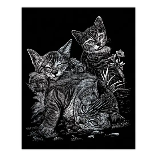 AVS-SIL205 | Engraving Art™ 15pc 6 Project Silver Foil Box Set {4}