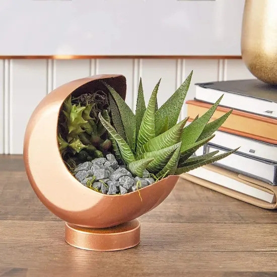 Decorative Rocks for Planters, Vase, Fish Tank, and Terrariums, Black, 2lbs {3}